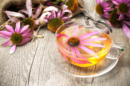 Ringelblume